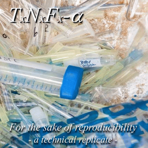 For the Sake of Reproducibility - A Technical Replicate